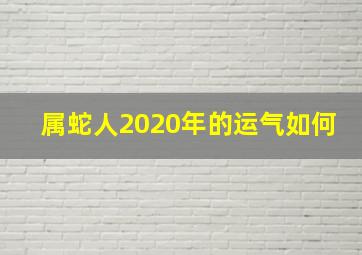 属蛇人2020年的运气如何