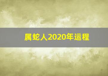 属蛇人2020年运程