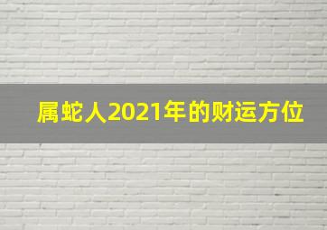 属蛇人2021年的财运方位