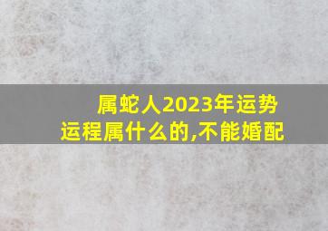 属蛇人2023年运势运程属什么的,不能婚配