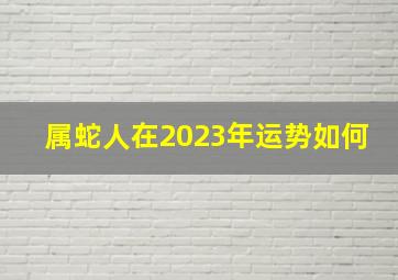 属蛇人在2023年运势如何