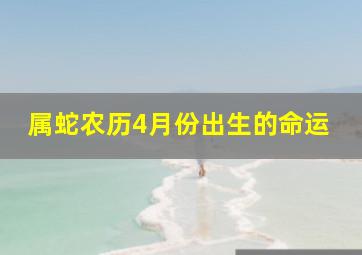 属蛇农历4月份出生的命运