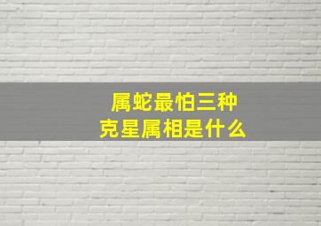 属蛇最怕三种克星属相是什么