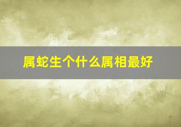 属蛇生个什么属相最好