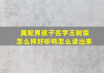 属蛇男孩子名字王树荣怎么样好听吗怎么读出来