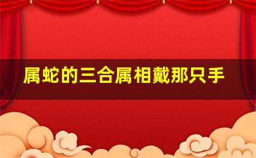 属蛇的三合属相戴那只手