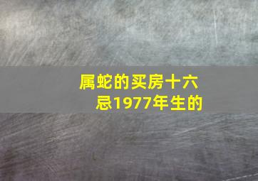 属蛇的买房十六忌1977年生的