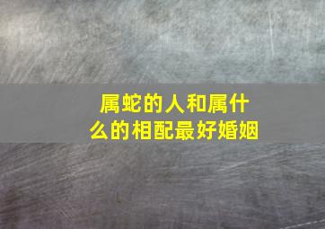 属蛇的人和属什么的相配最好婚姻