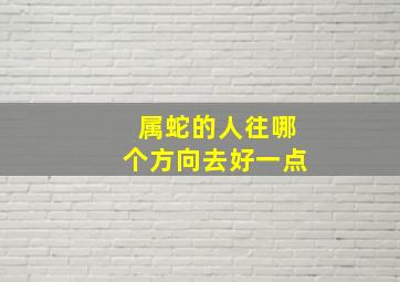 属蛇的人往哪个方向去好一点