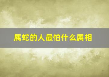 属蛇的人最怕什么属相