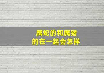 属蛇的和属猪的在一起会怎样