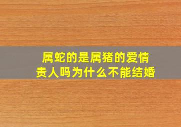 属蛇的是属猪的爱情贵人吗为什么不能结婚