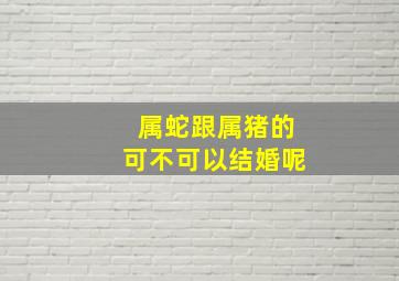 属蛇跟属猪的可不可以结婚呢