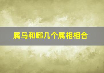 属马和哪几个属相相合