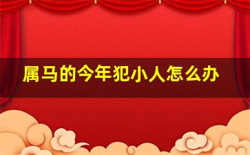 属马的今年犯小人怎么办