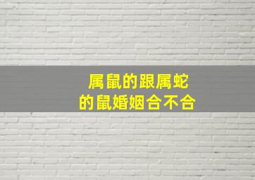 属鼠的跟属蛇的鼠婚姻合不合