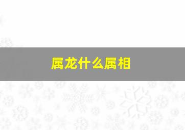 属龙什么属相