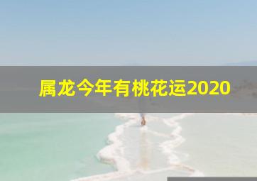 属龙今年有桃花运2020