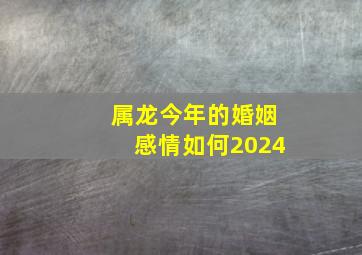 属龙今年的婚姻感情如何2024