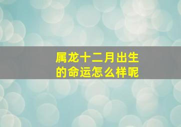 属龙十二月出生的命运怎么样呢