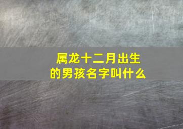 属龙十二月出生的男孩名字叫什么