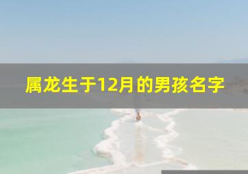 属龙生于12月的男孩名字