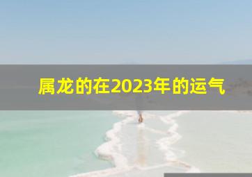 属龙的在2023年的运气