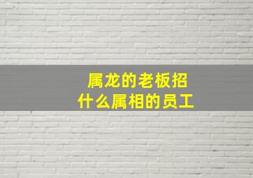 属龙的老板招什么属相的员工