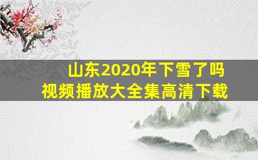 山东2020年下雪了吗视频播放大全集高清下载