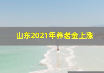 山东2021年养老金上涨