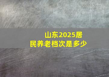 山东2025居民养老档次是多少