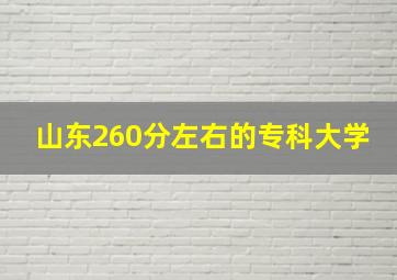 山东260分左右的专科大学