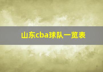 山东cba球队一览表