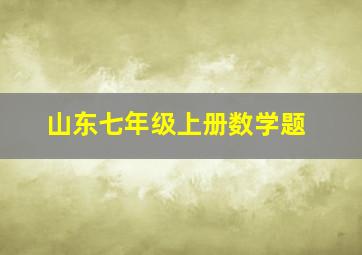 山东七年级上册数学题