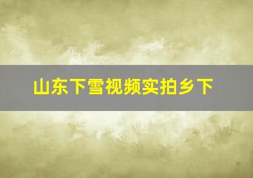 山东下雪视频实拍乡下