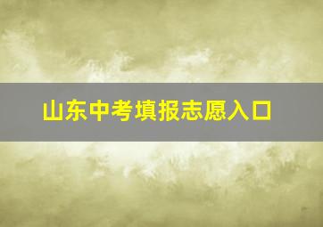 山东中考填报志愿入口