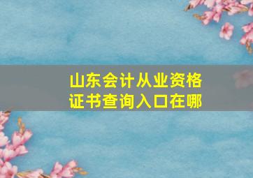 山东会计从业资格证书查询入口在哪