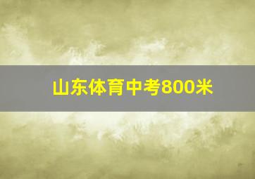 山东体育中考800米