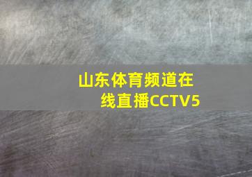 山东体育频道在线直播CCTV5