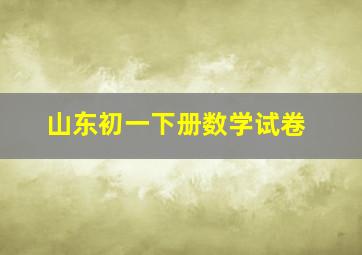 山东初一下册数学试卷