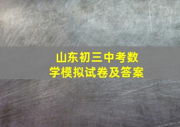 山东初三中考数学模拟试卷及答案