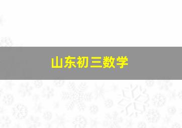 山东初三数学