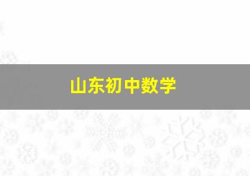 山东初中数学