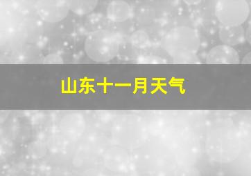 山东十一月天气