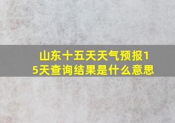 山东十五天天气预报15天查询结果是什么意思