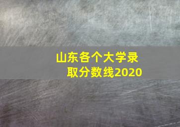 山东各个大学录取分数线2020