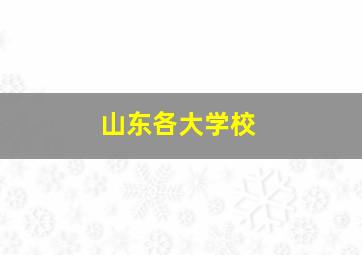 山东各大学校