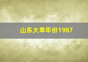 山东大旱年份1987