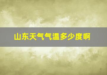 山东天气气温多少度啊