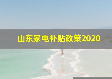 山东家电补贴政策2020